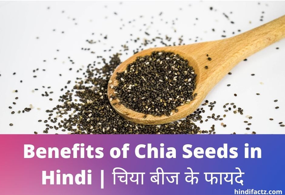 Chia-Seeds-in-Hindi