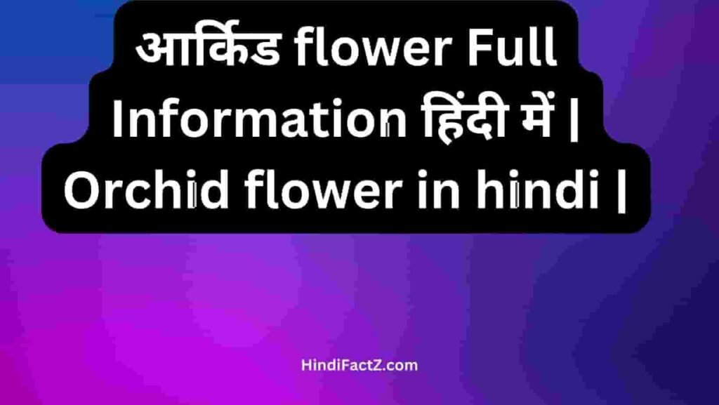 Orchid flower in hindi
