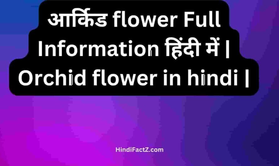 आर्किड flower Full Information हिंदी में | Orchid flower in hindi