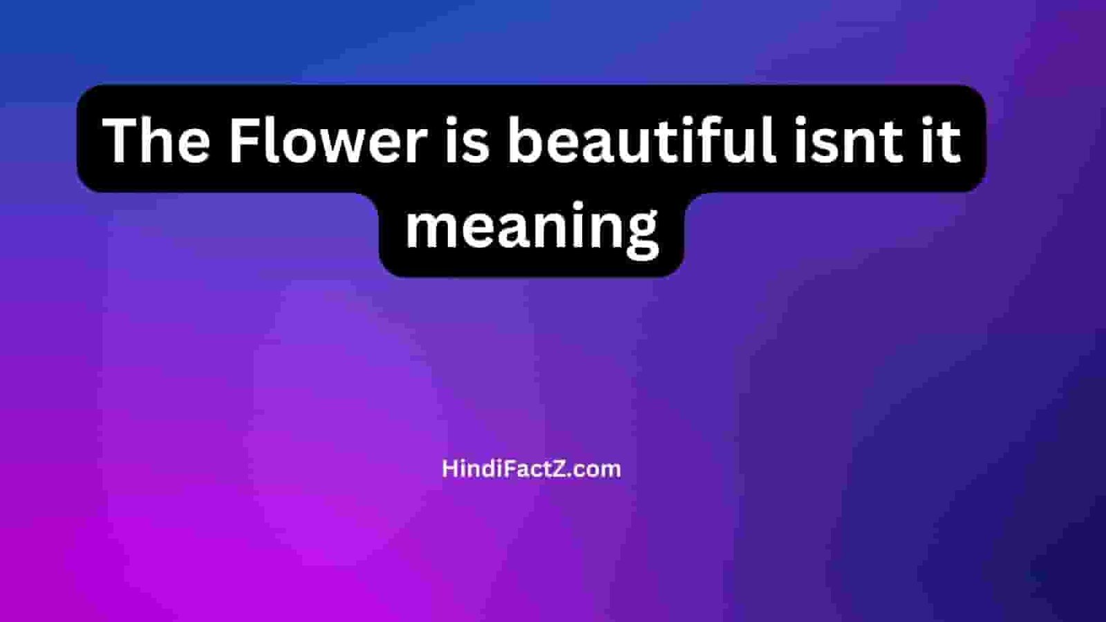 The Flower is beautiful isnt it meaning