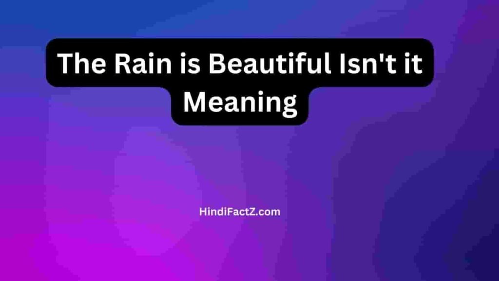 The Rain is Beautiful Isn't it Meaning