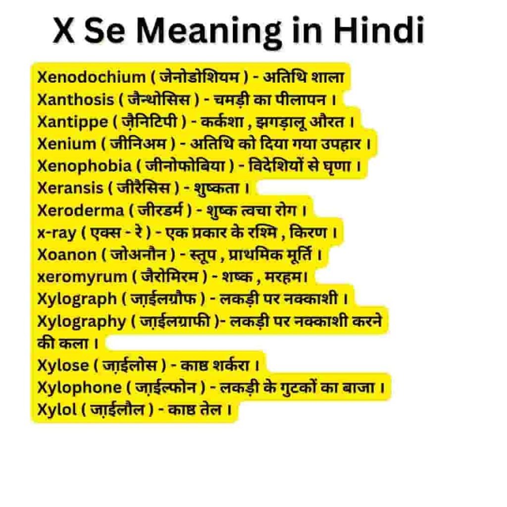 x se meaning