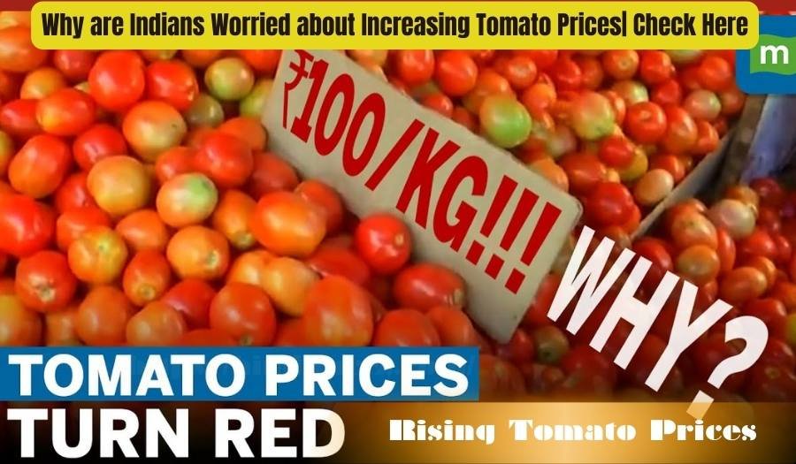 Why are Indians Worried about Increasing Tomato Prices| Check Here