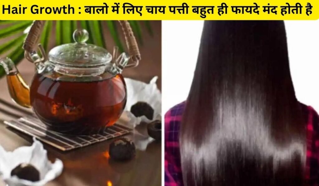 Hair Growth : बालो में लिए चाय पत्ती बहुत ही फायदे मंद होती है |