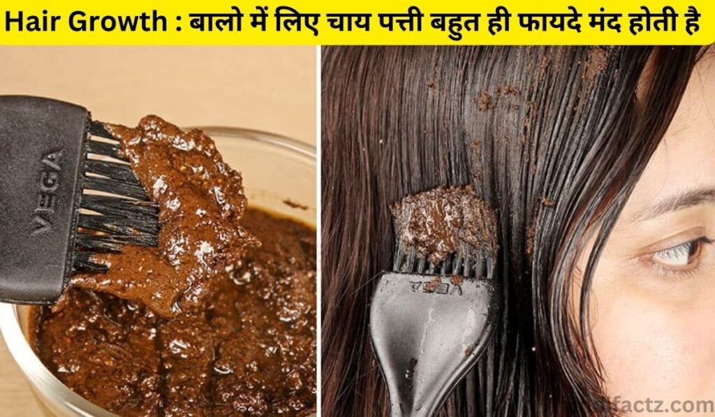 Hair Growth : बालो में लिए चाय पत्ती बहुत ही फायदे मंद होती है |